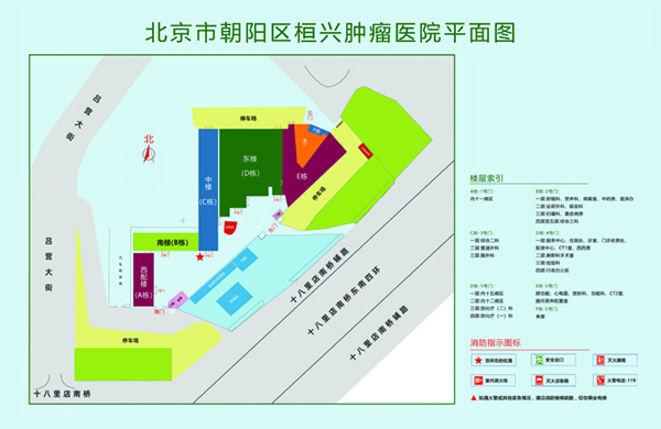 双人操屄视频北京市朝阳区桓兴肿瘤医院平面图